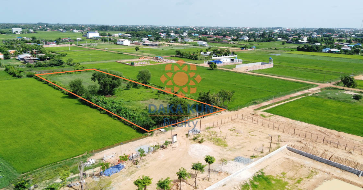 Land for Sale in Siem Reap City, near Tavern